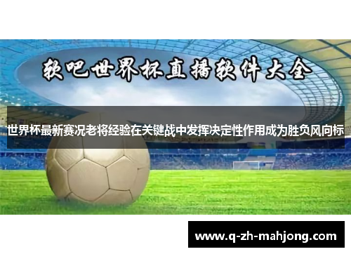 世界杯最新赛况老将经验在关键战中发挥决定性作用成为胜负风向标